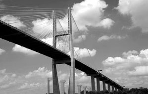 bridge in the savannah in black and white