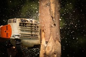 Chainsaw in operation