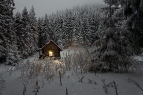 Cabin in a snowy forest