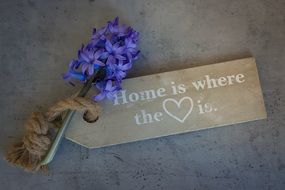 purple hyacinth lies on a wooden plate