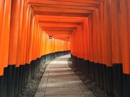 bright orange passage to a japanese temple