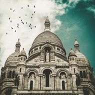 birds over the old cathedral