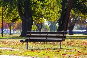 Bench in charming park