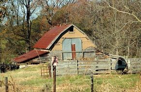 Old abandoned Shed at forest, usa, georgia