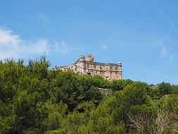 castle on a hill behind green trees