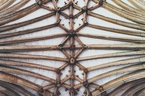 Ceiling Design Interior