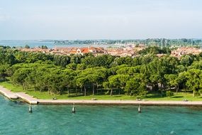 nature on the beach in Venice