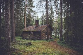 Beautiful wooden cabin in the beautiful forest