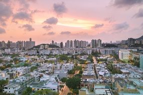 panoramic view of hong kong at pink sunset