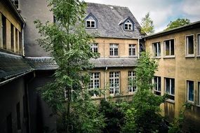 abandoned monastery facade in thickets of trees