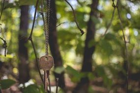 key on a chain in a forest