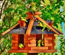 Home for the frogs