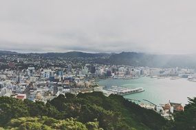 beautiful City on coastline, aerial View, new zealand, wellington