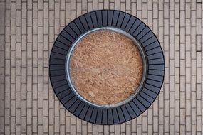 top view of a round flower bed on the sidewalk