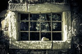 Prison Window