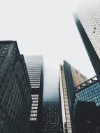 fog over city skyscrapers