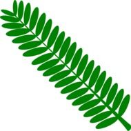 Green Home Leaf drawing