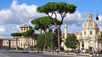 green trees near city buildings