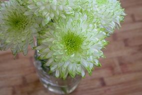 white flowers in a glass vase