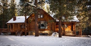Log cottage in forest at winter