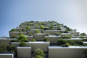 Building Patio Plants