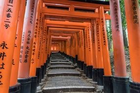 gate in a temple in Japan