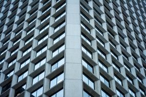 windows of office building