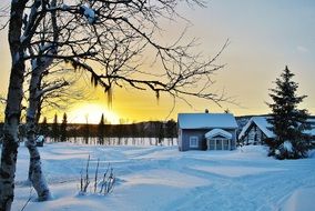houses in the snow in norrland