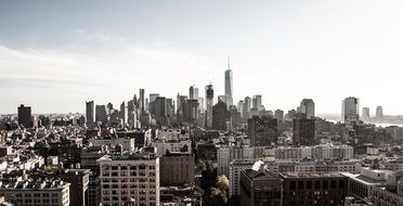 New York Metropolis panorama