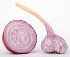 onions and garlic are food