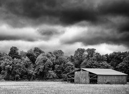 rural landscape in black and white