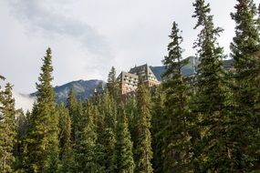 Banff Springs Hotel in a forest among the colorful plants in Alberta, Canada