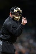 masked baseball judge