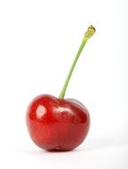 photo of cherry on a white background