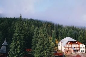 panorama of a chalet amidst a alpine forest