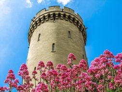 Arundel Castle tower and pink flowers