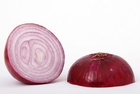 sliced onion