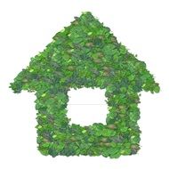 green home environment