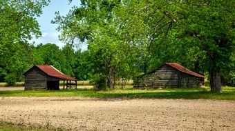 Landscape of rustic buildings in Forest in Alabama