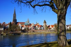 distant view of ulm cathedral over the river