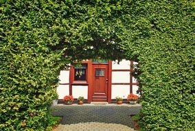 green plant arch at the main entrance to a building in Germany