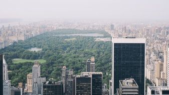 Central Park Nyc