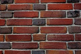 Wall Brick