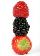 berry tower