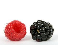 delicious berrys
