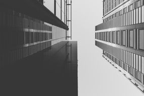 Black and white photo of the skyscrapers