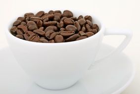 aroma of coffee beans