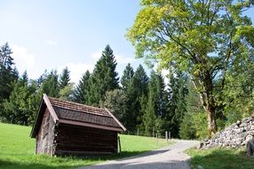 Hut Hike Trail