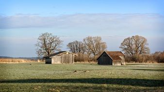 log cabins in the field