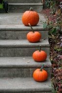 pumpkin lies on the steps